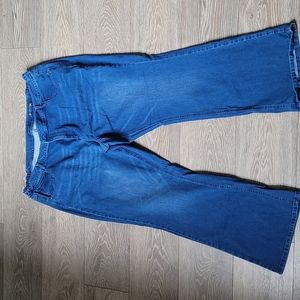 J.jill demin womens plus size jeans with elastic on the sides, size 24w